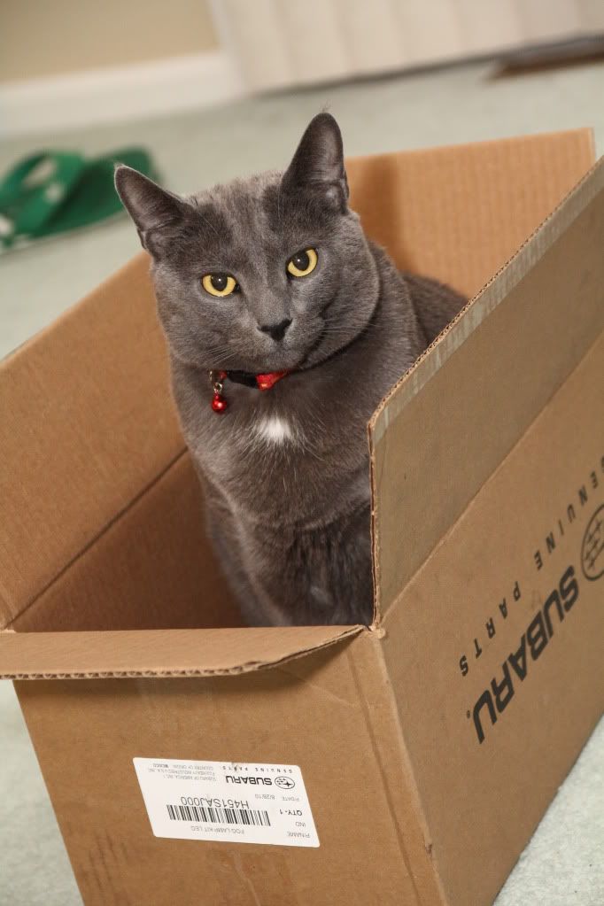 IMAGE: http://i1227.photobucket.com/albums/ee422/marco9394/IMG_0487.jpg