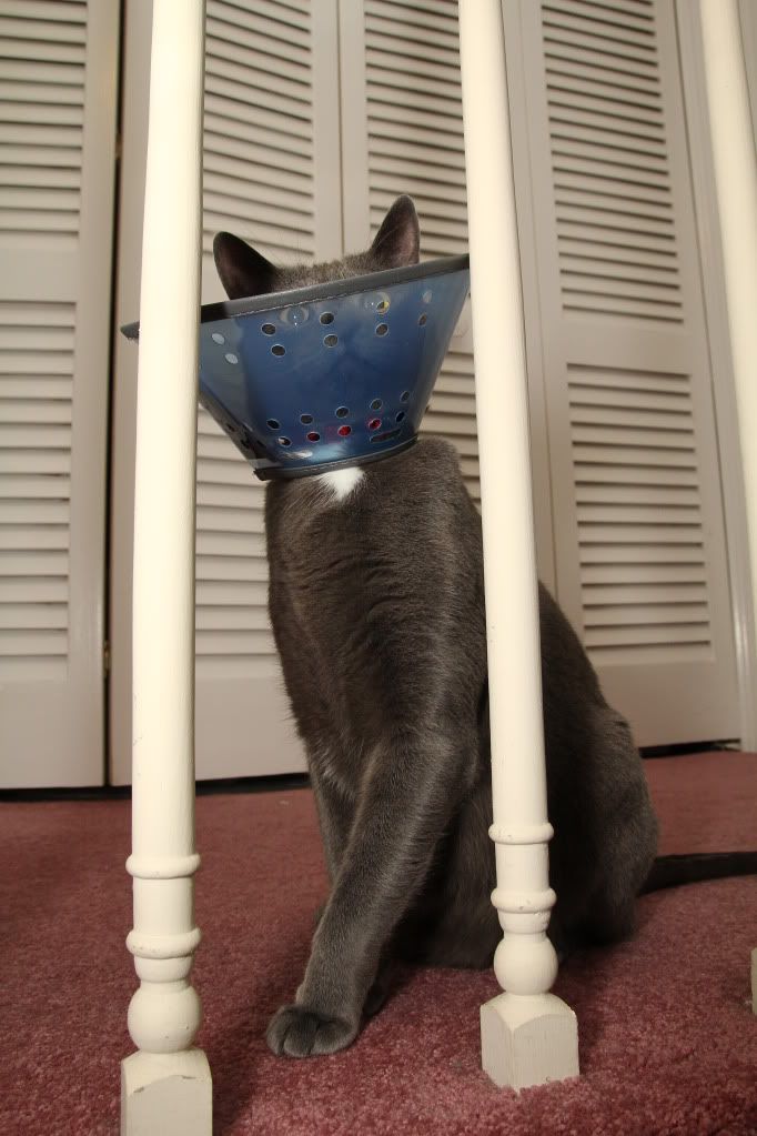 IMAGE: http://i1227.photobucket.com/albums/ee422/marco9394/IMG_0640.jpg