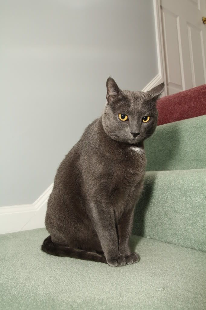 IMAGE: http://i1227.photobucket.com/albums/ee422/marco9394/IMG_0644.jpg