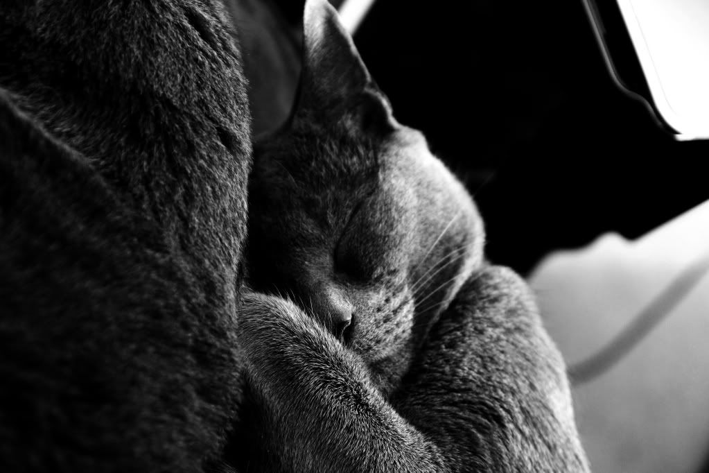 IMAGE: http://i1227.photobucket.com/albums/ee422/marco9394/IMG_0814.jpg