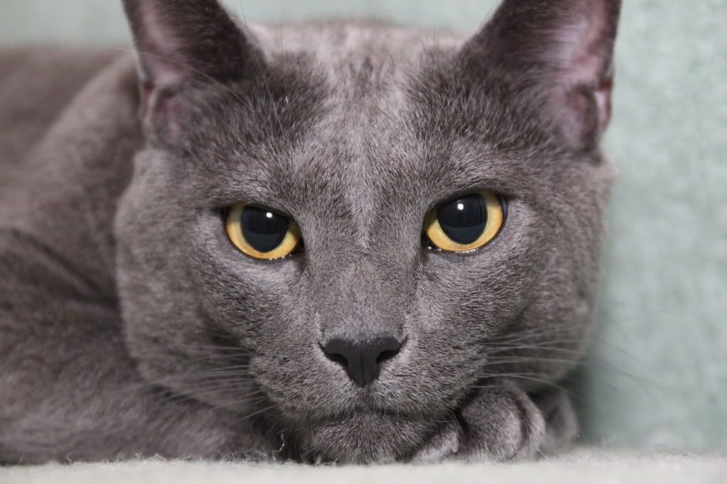 IMAGE: http://i1227.photobucket.com/albums/ee422/marco9394/IMG_3241.jpg