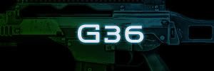 G36.jpg