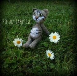 Hillary the Tabby Cat