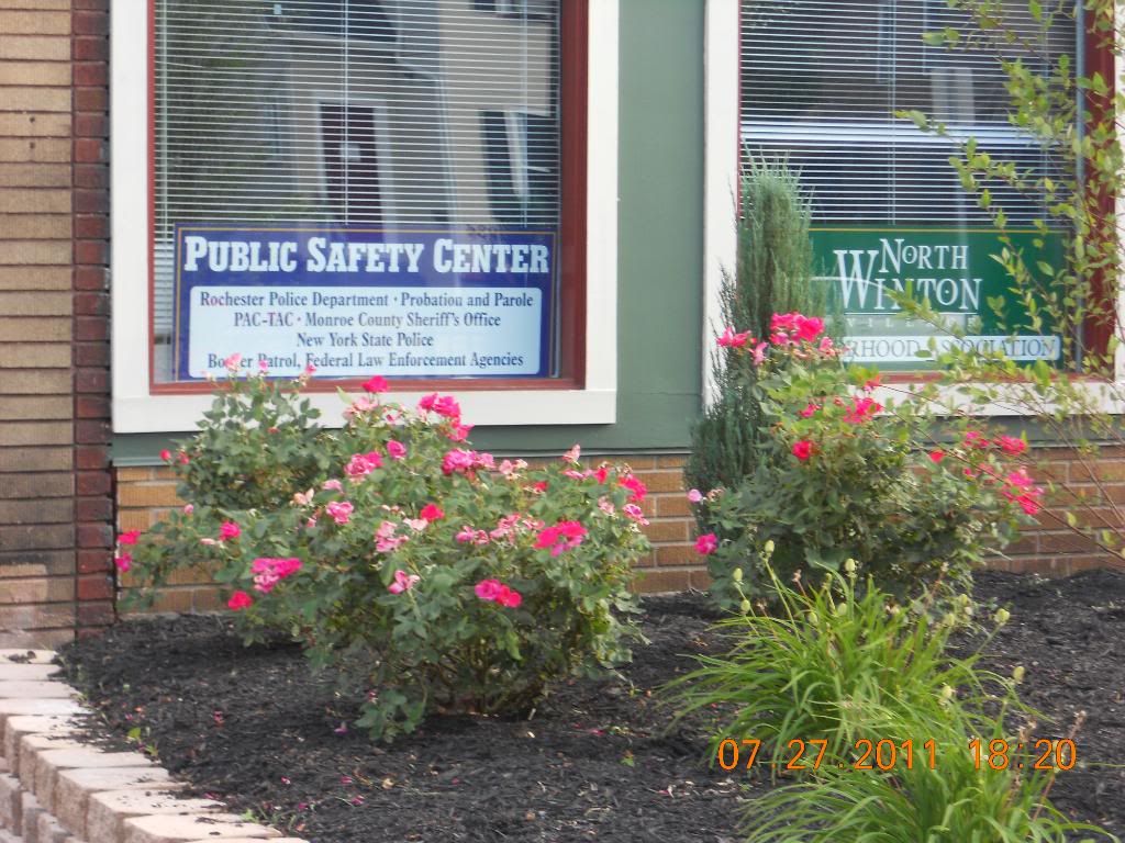 Safety Center Landscaping