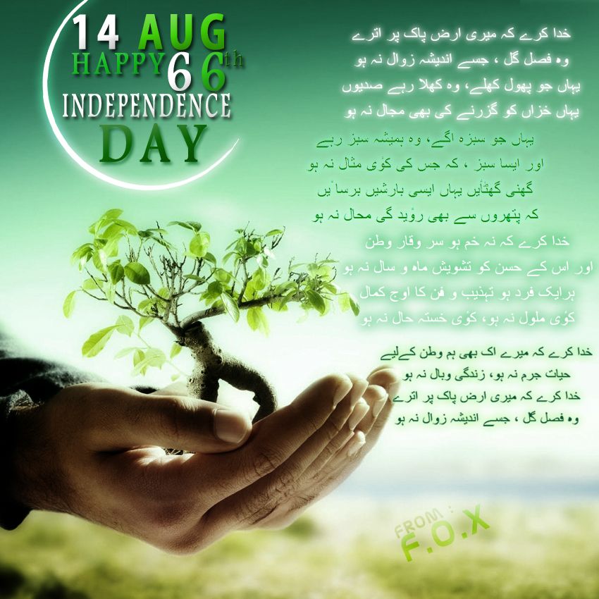 Happy Birthday, Pakistan and PDF | Page 15