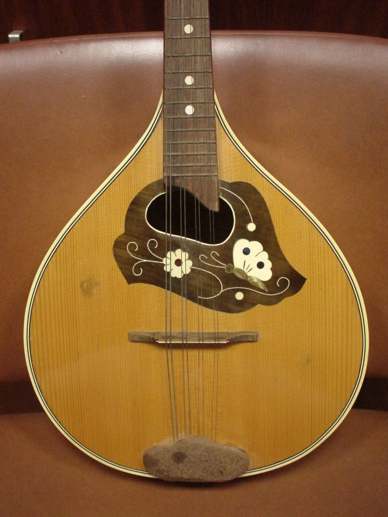 Please help identify an old German mandolin