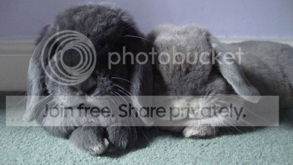 033-3.jpg