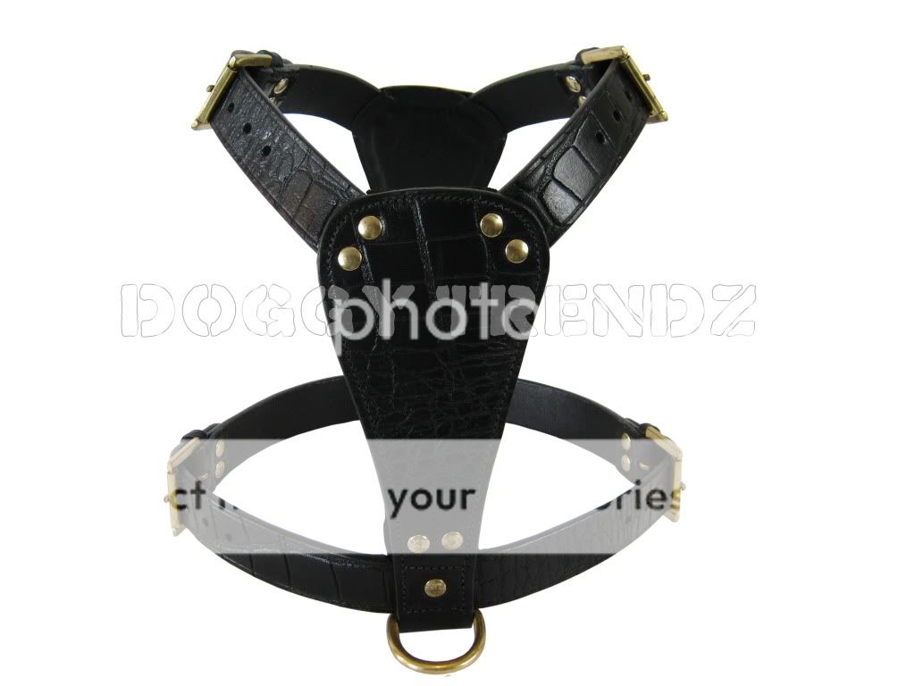 STAFFY Leather Dog Harness Lead Staffordshire Terrier